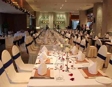 餐館餐廳油煙凈化解決方